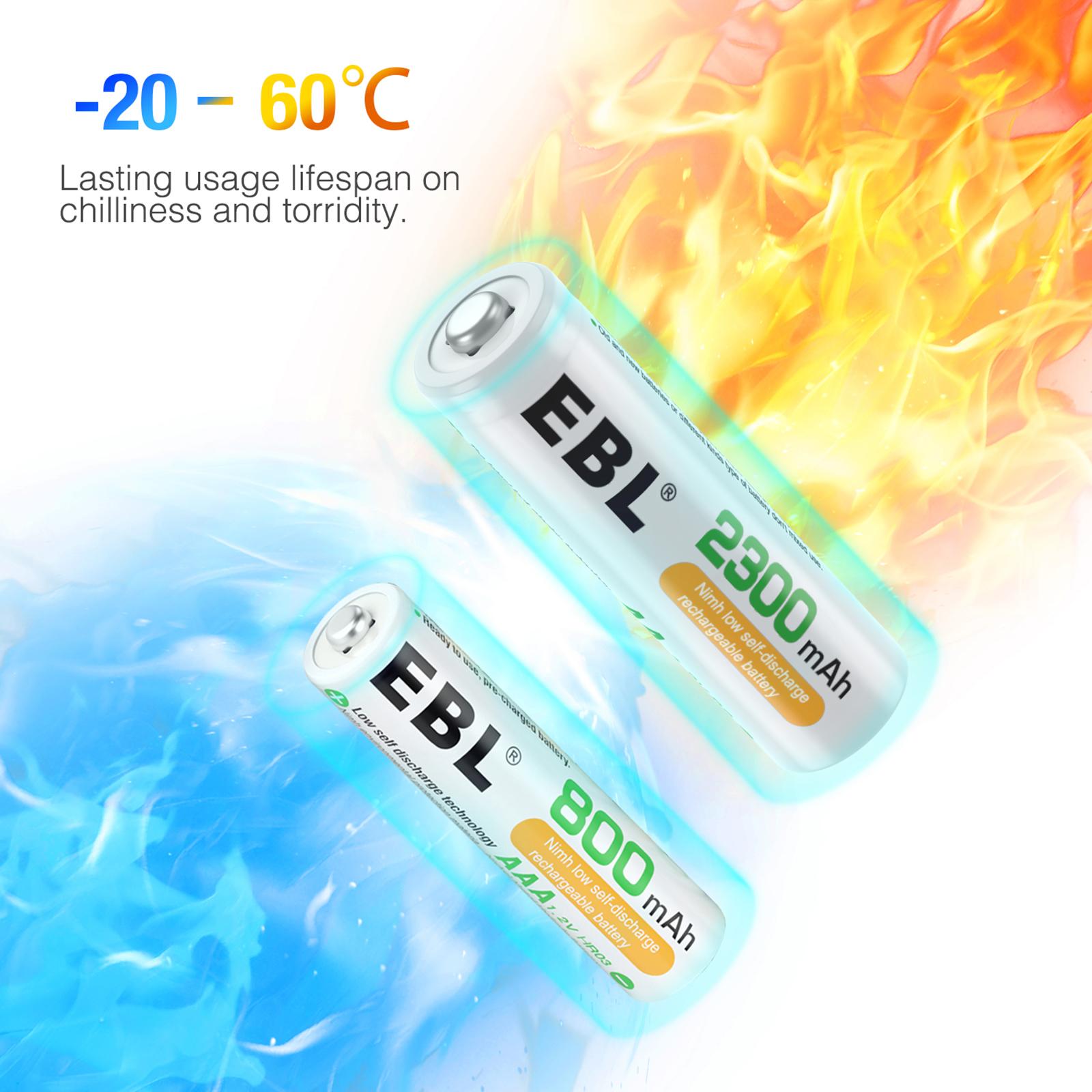EB-8001 07